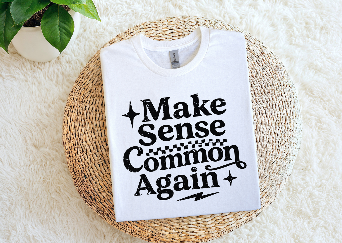 Make Sense Common Again