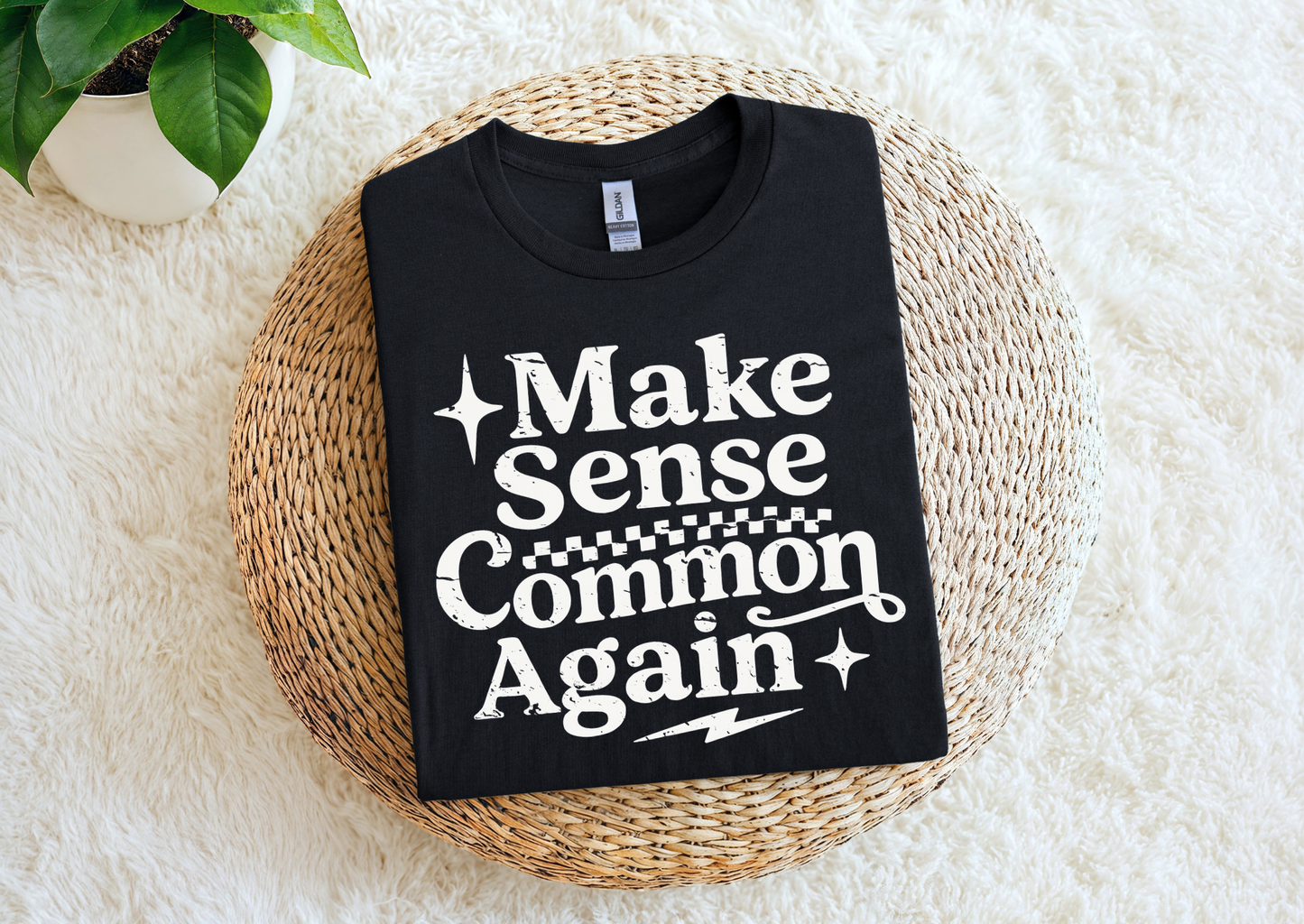 Make Sense Common Again