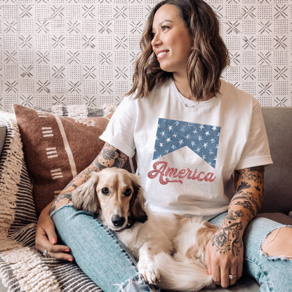 America Retro Graphic