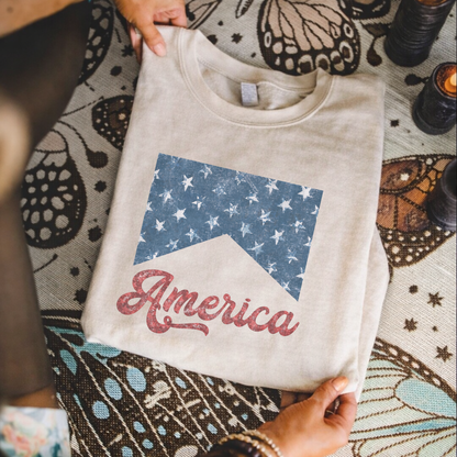 America Retro Graphic