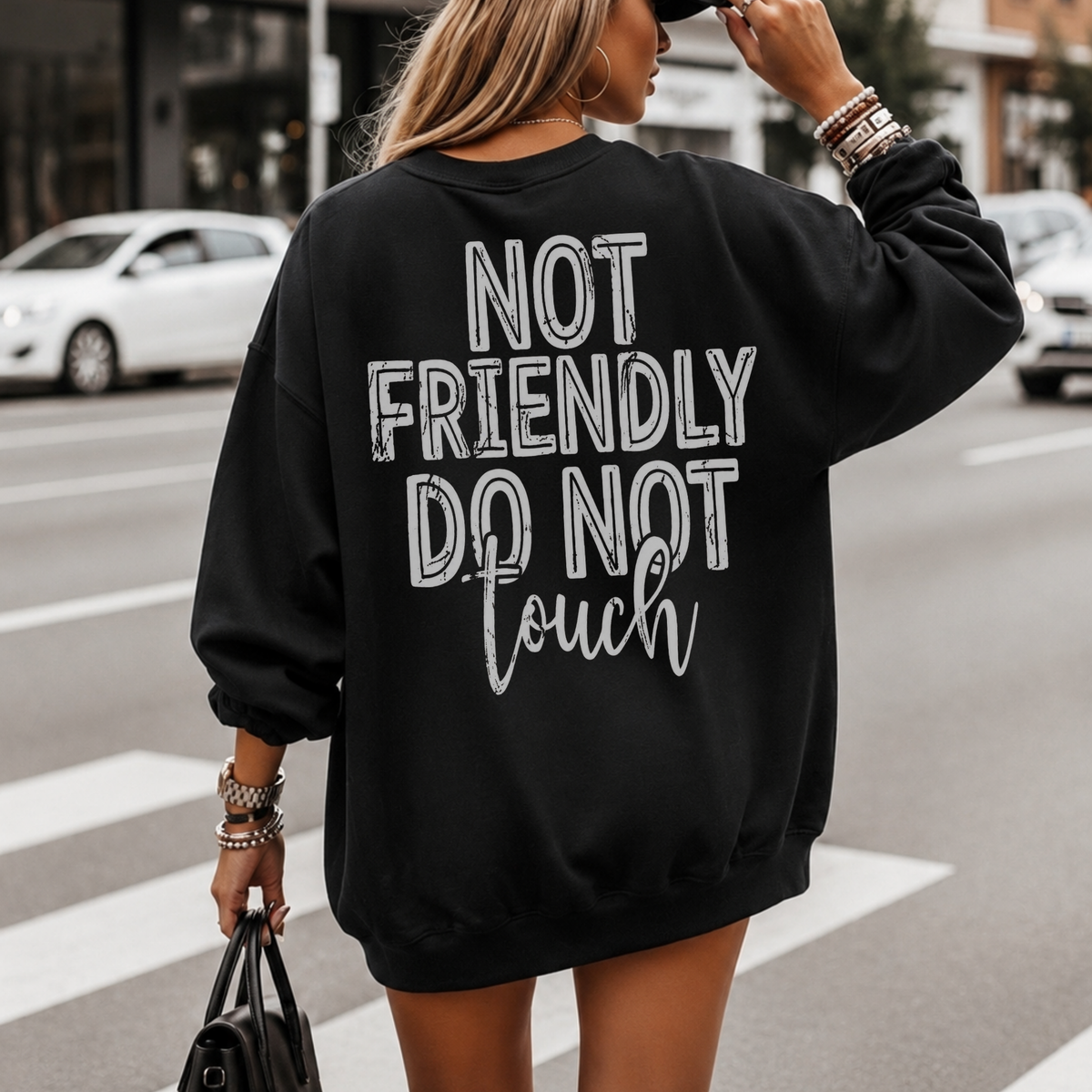 Not Friendly, Do Not Touch